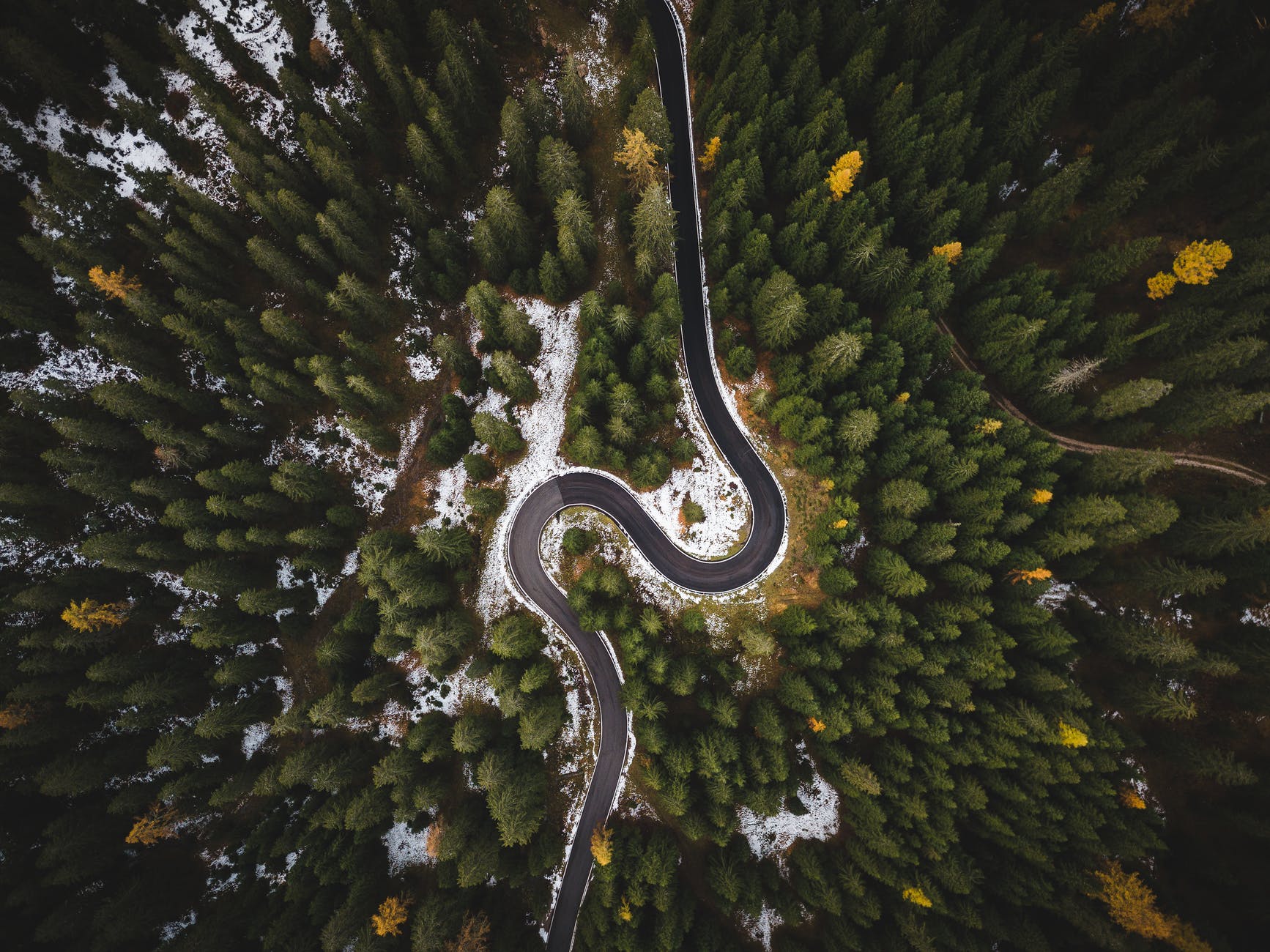bird s eye view of roadway surrounded by trees